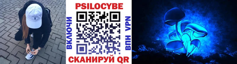 OMG ссылки  Серафимович  Галлюциногенные грибы мухоморы 